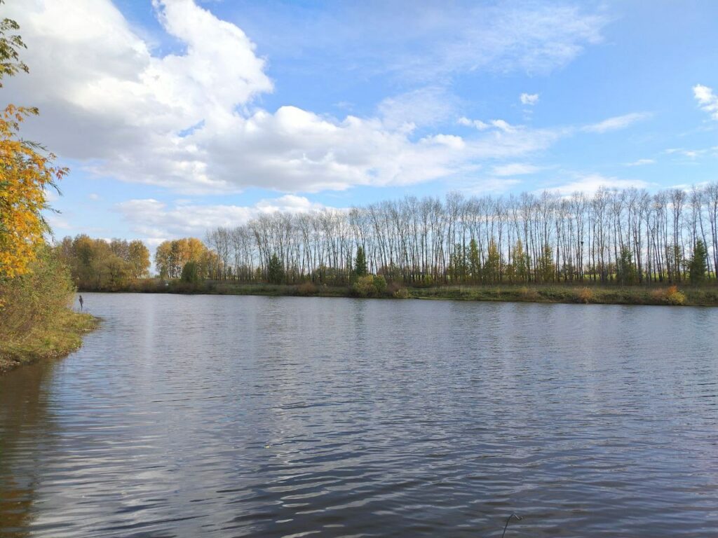 Аномальная жара придет в Новосибирскую область в конце сентября