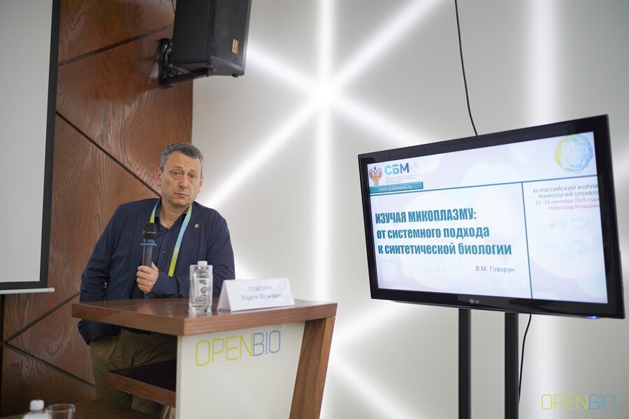 В России ученые предложили создавать светящиеся деревья и травы для городов