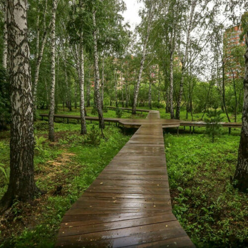 Повторный тендер на благоустройство парка «Каменка» объявили в Новосибирске