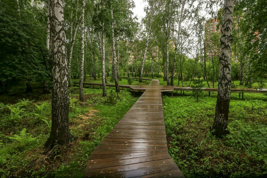 Повторный тендер на благоустройство парка «Каменка» объявили в Новосибирске