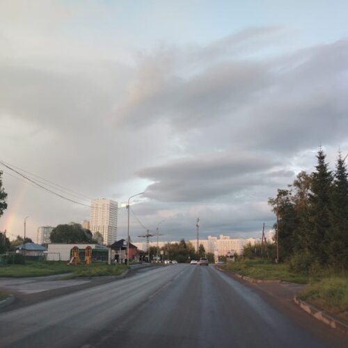 В Новосибирске нашли более 500 участков для нестационарных торговых объектов