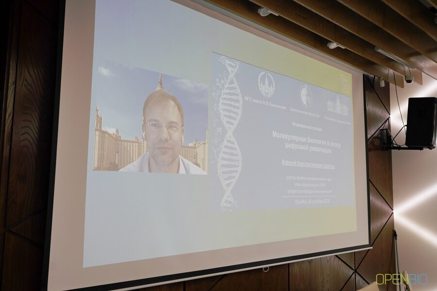 Запуск синхротрона в Новосибирске ускорит развитие биотехнологий