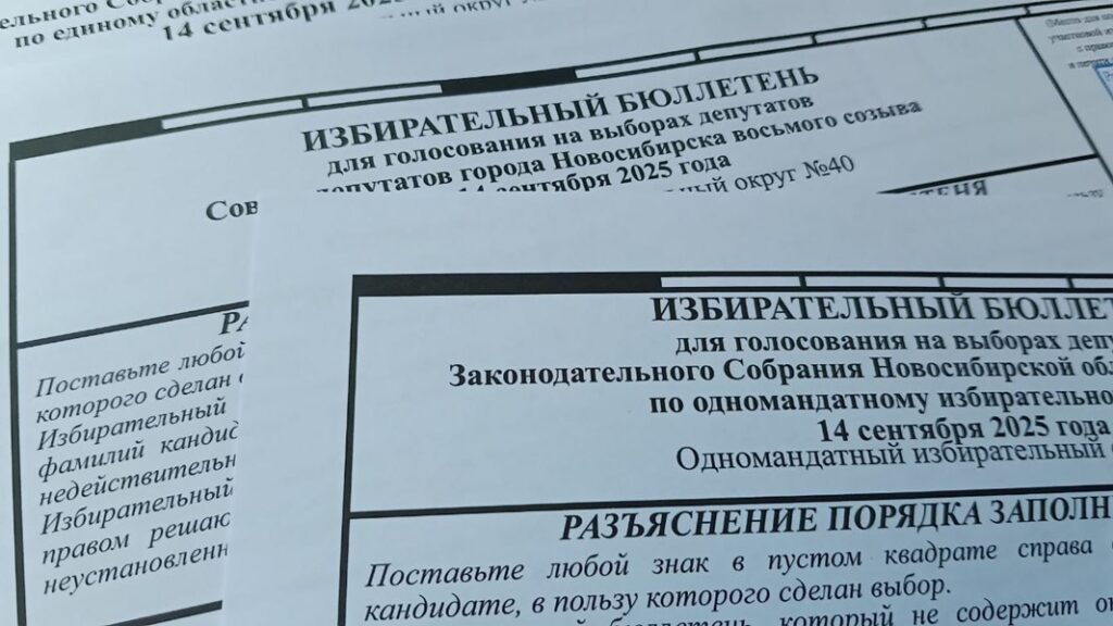 В Советском районе Новосибирска пока худший результат по явке избирателей