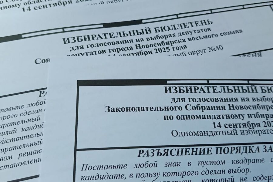 В Советском районе Новосибирска пока худший результат по явке избирателей