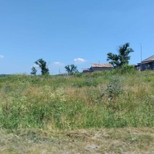 Заброшенные земельные участки новосибирцев будут продавать на торгах