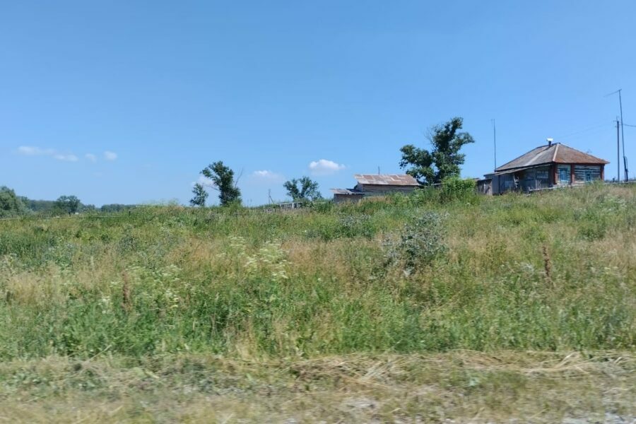 Заброшенные земельные участки новосибирцев будут продавать на торгах