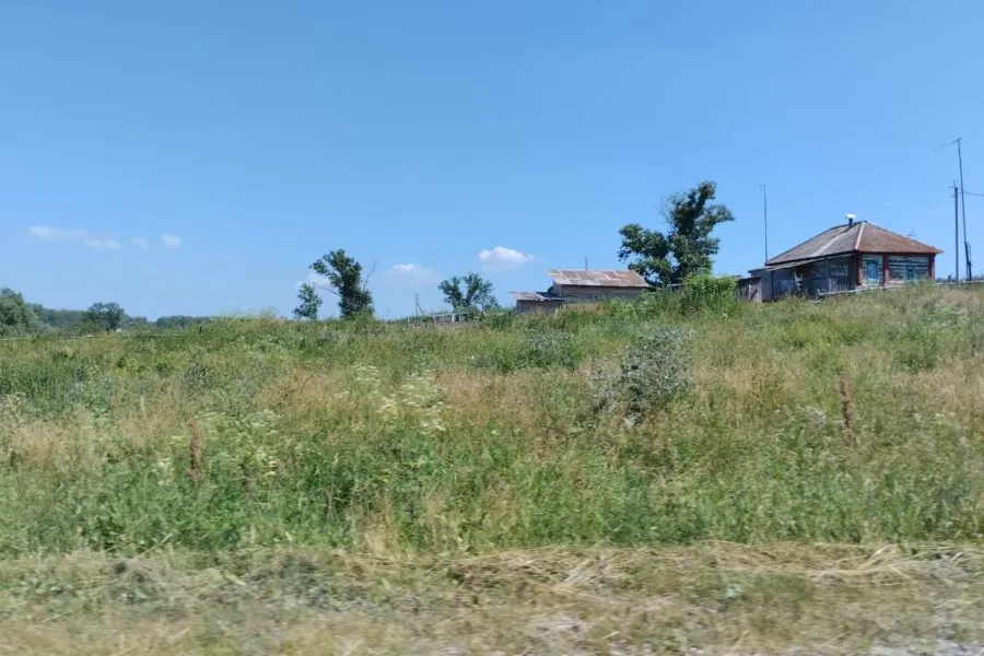 Заброшенные земельные участки новосибирцев будут продавать на торгах