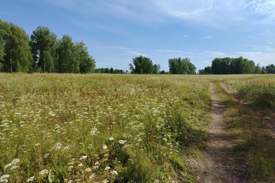 Участок площадью более 90 га под жилищное строительство нашли под Искитимом Участок площадью более 90 га под жилищное строительство нашли под Искитимом