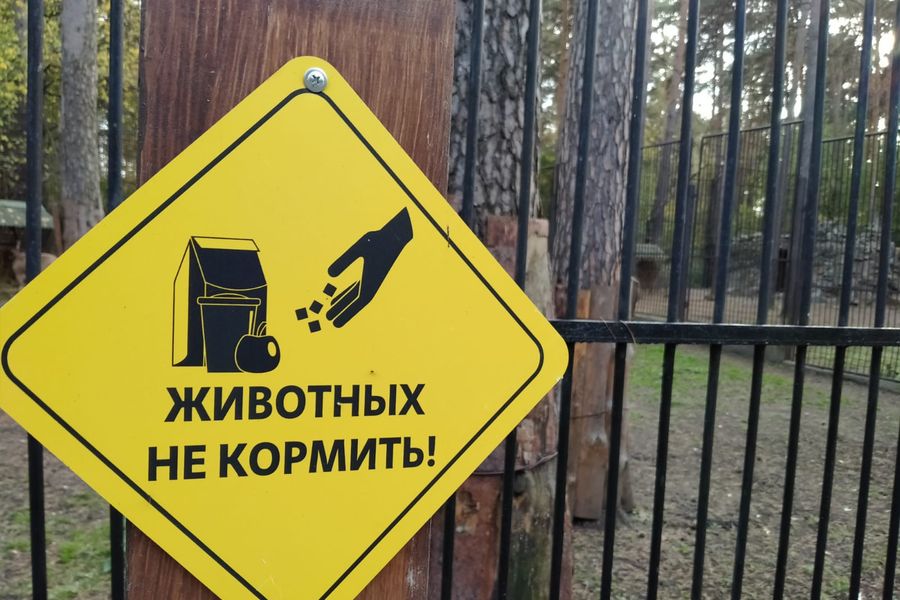 Есть правило — предлагать животным можно только те корма, которые продаются на указанных площадках