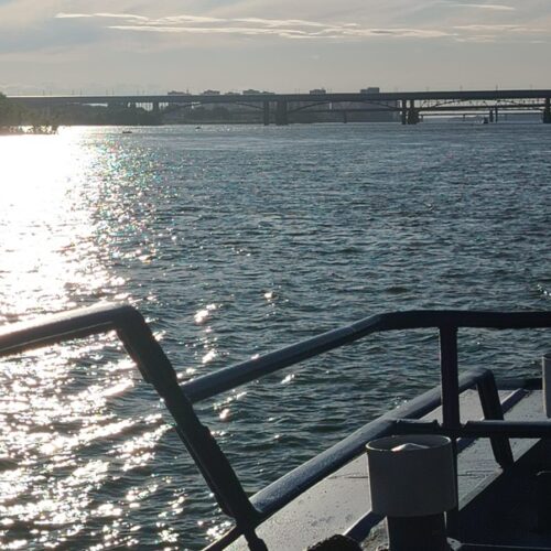 В Новосибирске выявили картель на торгах федерального учреждения