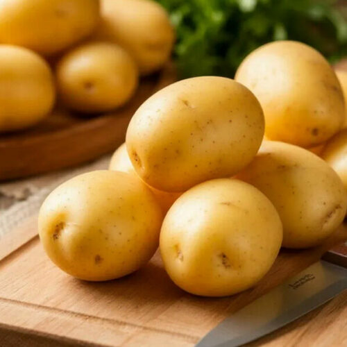 Эксперты Новосибирска раскрыли секреты хранения картофеля зимой