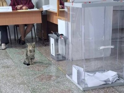 На выборы к середине первого дня голосования пришли почти 8% новосибирцев