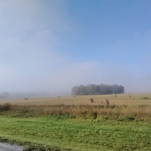 Синоптики Новосибирска рассказали, выпадет ли снег в сентябре