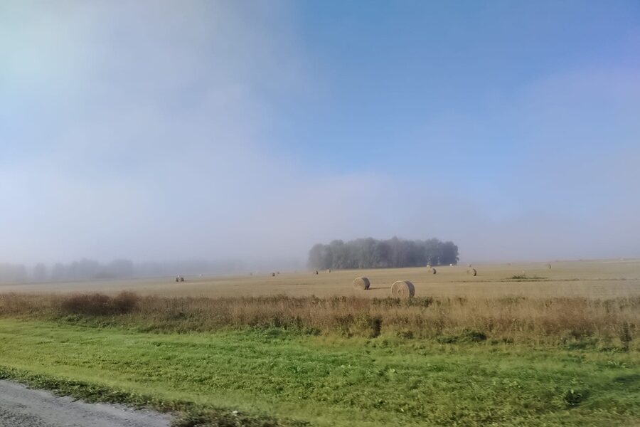 Синоптики Новосибирска рассказали, выпадет ли снег в сентябре