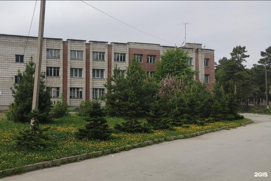 В Новосибирске ищут арендатора на областную базу отдыха