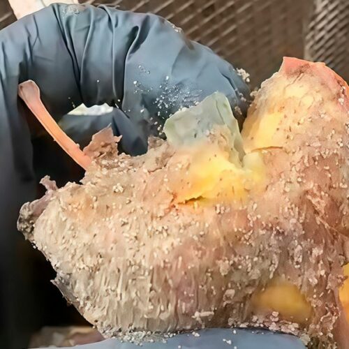 «Это диверсия!»: яблоко с «начинкой» из стекла подбросили животным в Новосибирском зоопарке