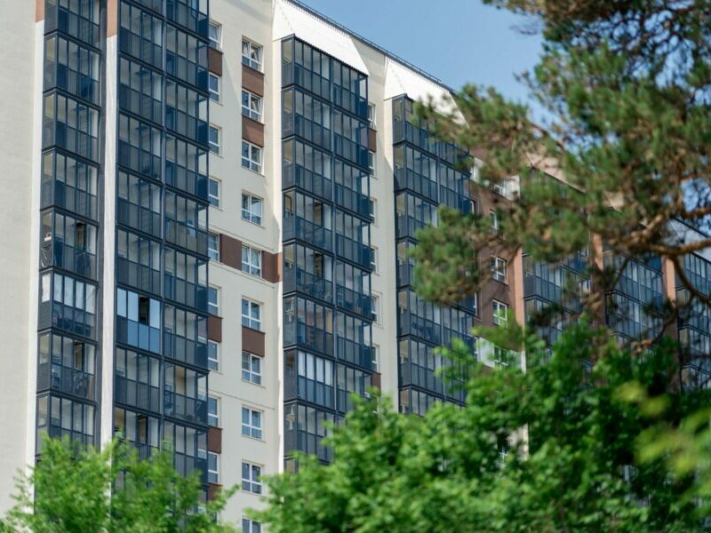 Комфорт мегаполиса и природа у порога: преимущества жизни в поселке Кудряшовский