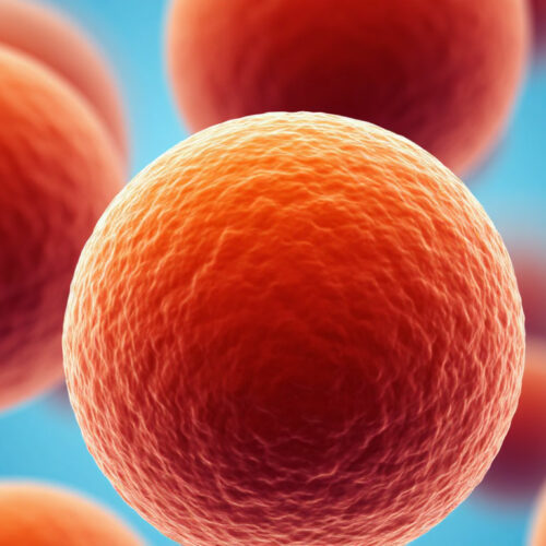 Заболеваемость гепатитом А в Новосибирской области снизилась в 5 раз