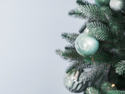 Площадки под елочные базары в Новосибирске начали предлагать в аренду