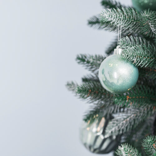 Площадки под елочные базары в Новосибирске начали предлагать в аренду