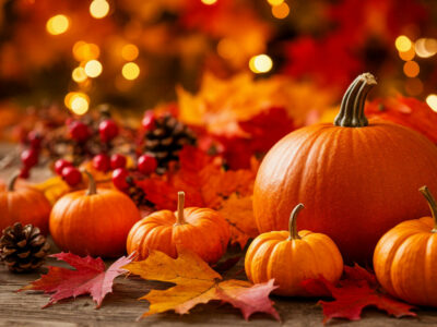 Новосибирская область в топ-10 регионов по дешевизне размещения на ноябрьские праздники