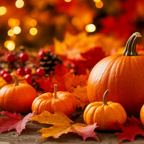 Новосибирская область в топ-10 регионов по дешевизне размещения на ноябрьские праздники