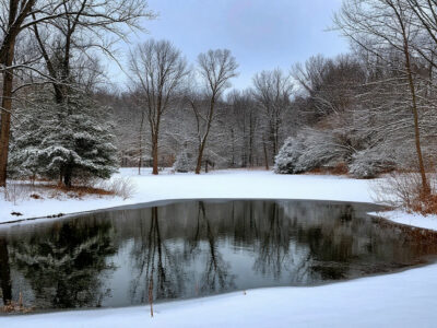 Суд обязал Минприроды Новосибирской области контролировать водные объекты