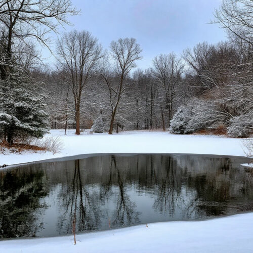 Суд обязал Минприроды Новосибирской области контролировать водные объекты