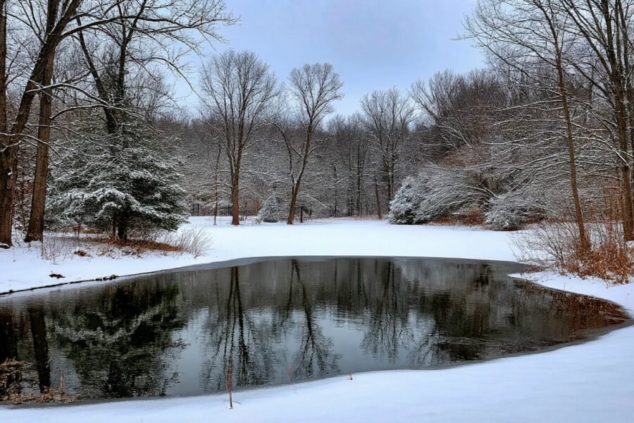 Суд обязал Минприроды Новосибирской области контролировать водные объекты