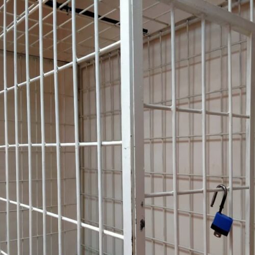 «Посадить бывшего мужа»: в Новосибирске семейные споры всё чаще оборачиваются уголовными делами