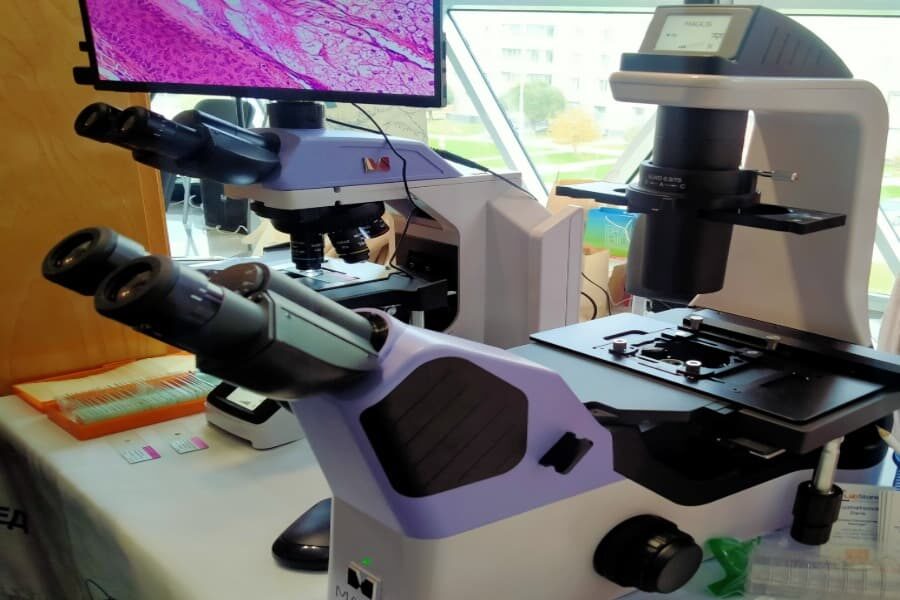 Новосибирские ученые запатентовали средство против гриппа из мицелия грибов