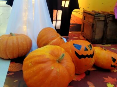 «Не самая страшная нечисть в стране»: новосибирский бизнес объяснил, почему празднует Хэллоуин несмотря на критику