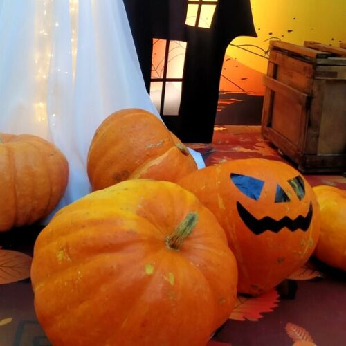 «Не самая страшная нечисть в стране»: новосибирский бизнес объяснил, почему празднует Хэллоуин несмотря на критику