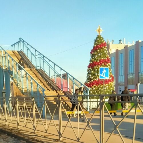 На улицах Новосибирска в октябре начали наряжать новогодние ёлки