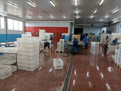 Новосибирская область нарастила экспорт рыбы в Казахстан и Китай