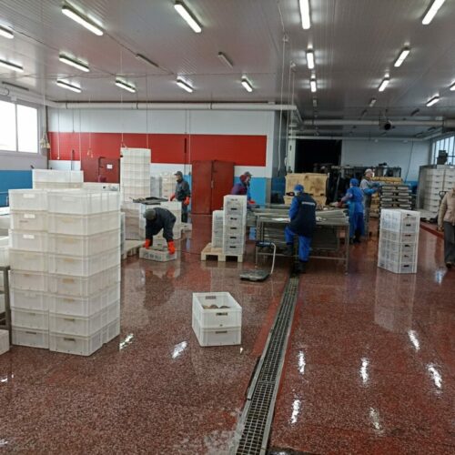 Новосибирская область нарастила экспорт рыбы в Казахстан и Китай