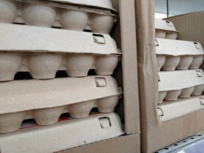 В Новосибирской области куриные яйца с начала года подешевели на 32 рубля