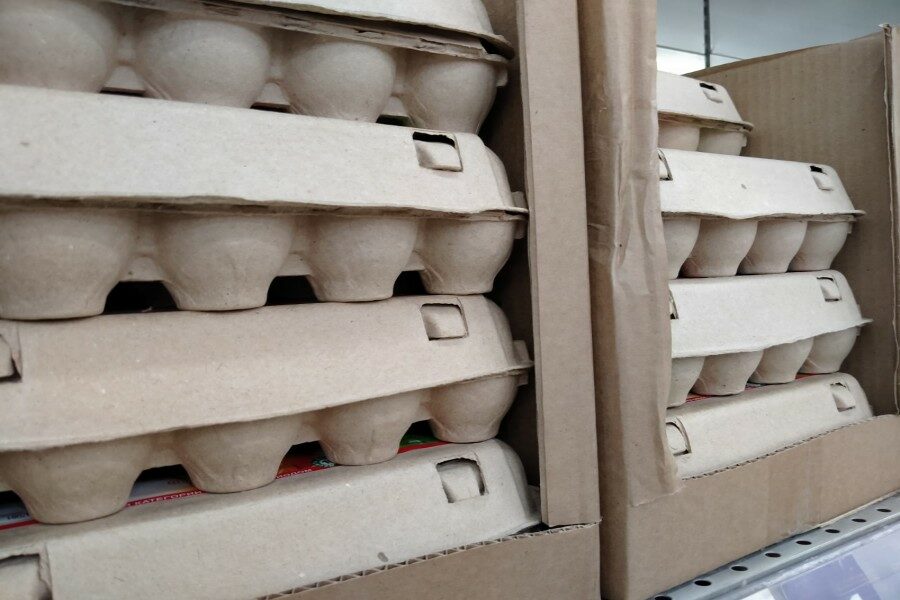 В Новосибирской области куриные яйца с начала года подешевели на 32 рубля