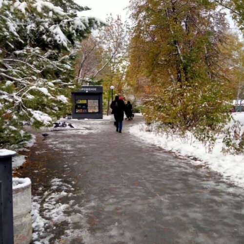 «В лесах снег уже не растает»: начальник Новосибирского гидрометцентра прокомментировала октябрьские снегопады