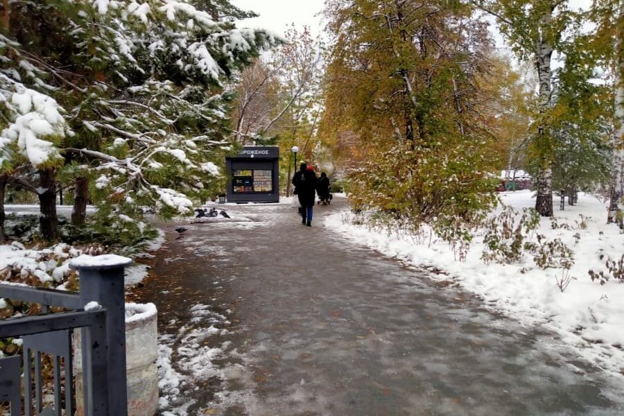 «В лесах снег уже не растает»: начальник Новосибирского гидрометцентра прокомментировала октябрьские снегопады