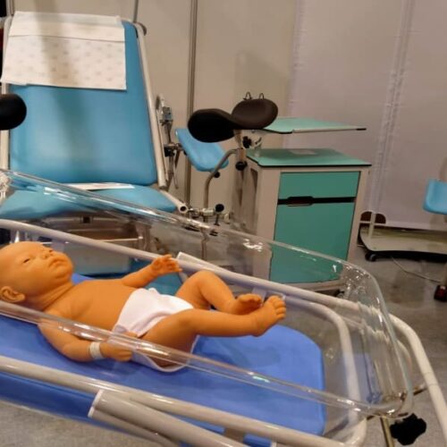 В Новосибирске 14% собиравшихся делать аборт женщин, отговорили от этого решения