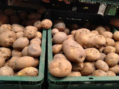 В Новосибирской области зарегистрировано рекордное снижение цен на картофель