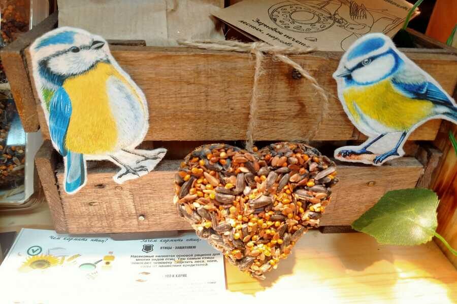 В Новосибирске начали продавать специальный корм для синиц