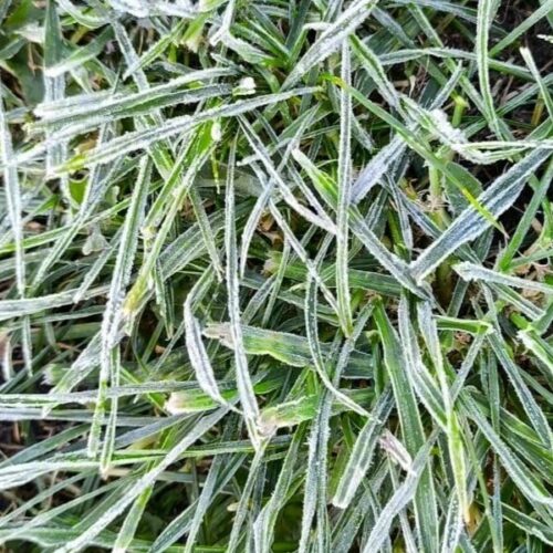 В Новосибирск на выходные придет холодная осень