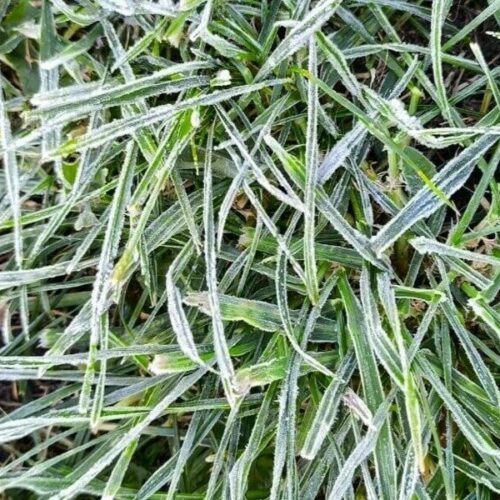 На выходных в Новосибирске обещают аномальное тепло