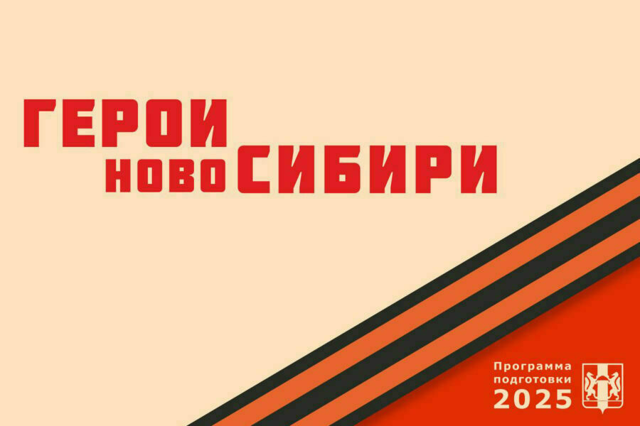 «Герои НовоСибири»: участники проекта осваивают экономику и финансы региона