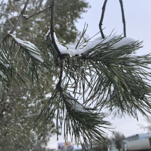 В Новосибирской области ожидается сильное понижение температуры