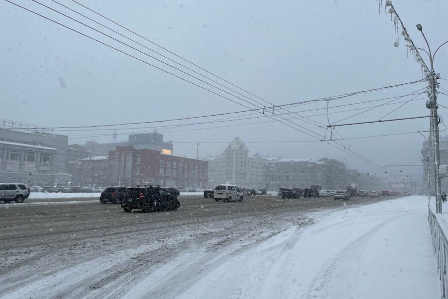 Синоптики назвали дату окончания снегопада в Новосибирске