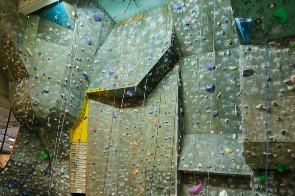 Хозяйку скалодрома «Каскад» осудили за гибель жителя Новосибирска