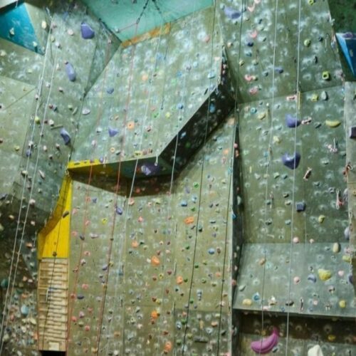 Хозяйку скалодрома «Каскад» осудили за гибель жителя Новосибирска